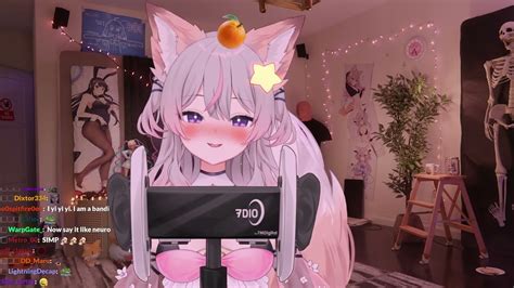 asmr fox